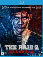 The Raid 2 Berandal