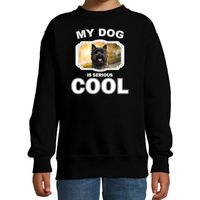 Honden liefhebber trui / sweater Cairn terrier my dog is serious cool zwart voor kinderen