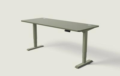 Desktronic HomePro bureau - Olijfgroen / Olijfgroen / 200x80 cm