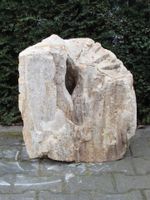 Fossiel Hout MA23-13, 54 cm