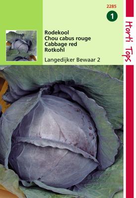 Rodekool Langedijker Bewaar 2 - Hortitops