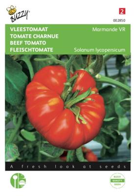 Tomaten Marmande Vleestomaat - Buzzy