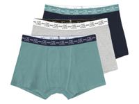 QS by s.Oliver 3 heren boxershorts (L, Mint/grijs/blauw)