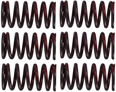 TRW Clutch spring kit mef320-6