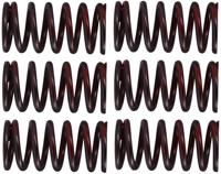 TRW Clutch spring kit mef320-6