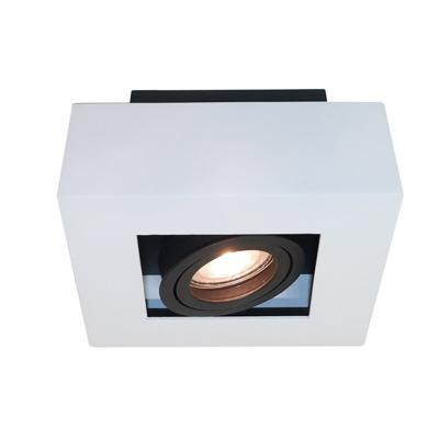 Artdelight Witte opbouwspotBosco - PL BOSCO1 ZW-WI