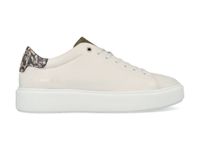 Ted Baker Sneakers 252506 Wit-36