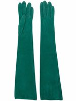 Manokhi gants longs en daim - Vert