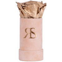 Flowerbox longlife Ivy Pure and divine Flowerbox longlife Ivy Pure and divine