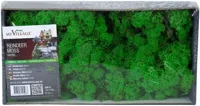My Village Rendiermos groen 500g