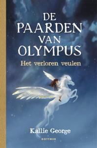 Het verloren veulen (Hardback)