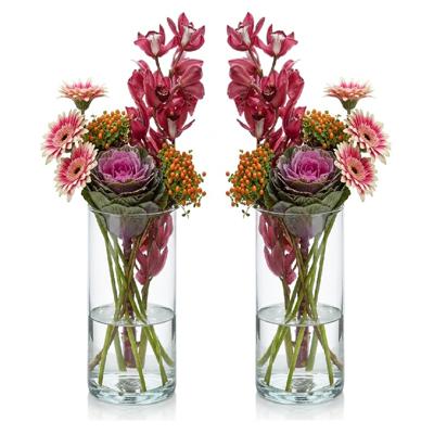 Hakbijl Glass Bloemenvaas - Set van 2x stuks - Transparant - cilinder - glas - D9 x H19 cm