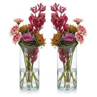 Hakbijl Glass Bloemenvaas - Set van 2x stuks - Transparant - cilinder - glas - D9 x H19 cm
