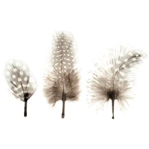 Hobby/knutsel Parelhoen veren - 45x stuks - hobby/decoratie materiaal