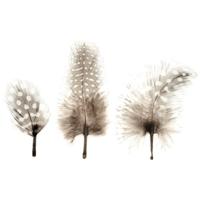 Hobby/knutsel Parelhoen veren - 45x stuks - hobby/decoratie materiaal