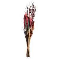 Droogbloemen boeket nature - roze - 100 cm - Leen Bakker