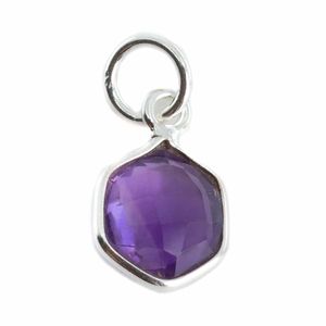 Edelsteen Hanger Amethist Zeshoek - Zilver - 8 mm