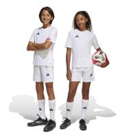 adidas Squadra 25 Voetbaltenue Kids Wit
