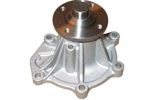 Waterpomp TW5102