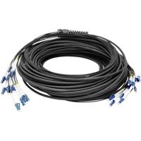 Digitus DK-2A33CU075BK-BBB Glasvezel Optische vezel Aansluitkabel [12x LC-/UPC-stekker - 12x LC-/UPC-stekker] 9/125 µ Singlemode OS2 75 m