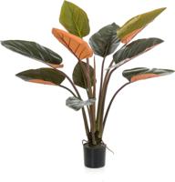 Philodendron plant h120cm groen - Emerald
