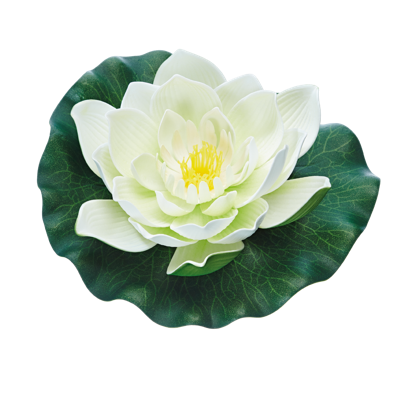 Pontec Pondolily wit