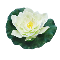 Pontec Pondolily wit