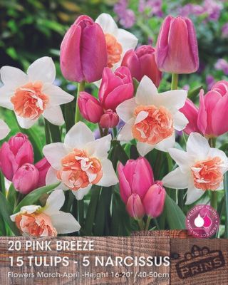 Prins tulp en narcis pink breeze 20 bollen