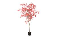 Decostar Countryfield Acer L rood