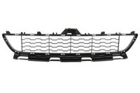 Ventilatiegrille, bumper 6502070070910P