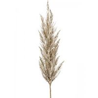 Grass Pampas Cream L 115 cm kunsttak per 1 stuks - thumbnail