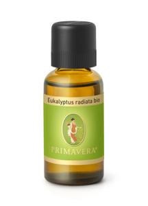 Primavera Eucalyptus radiata bio