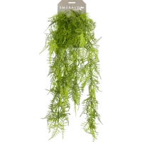 Kunsthangplant Asperge hangend 80cm groen