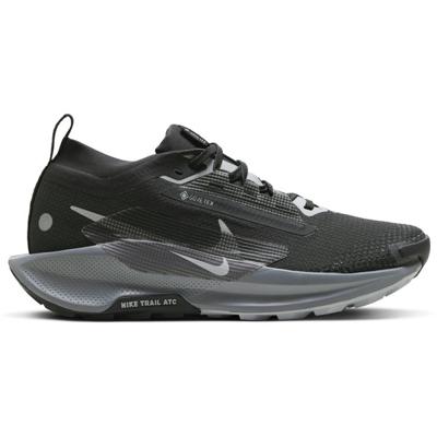 Nike Pegasus Trail 5 GTX Dames
