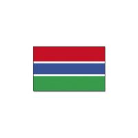 Vlag Gambia 90 x 150 cm feestartikelen