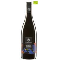 Hochberc Rot 2020 - Weingut Gesellmann - 75CL - 14,0% Vol.