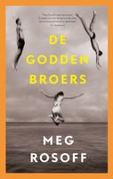 De Godden broers - Meg Rosoff - ebook