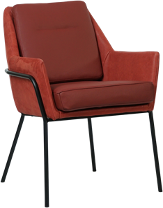Leren design eetkamerstoel Mix Duo - Echt leer, Industrieel, Comfortabel en kies uit meer dan 150+ kleuren - Ontdek de Vele Leersoorten en Kleuren bij ShopX