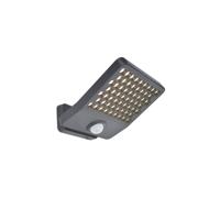 Lutec Design schijnwerperAtlantis L 4000K - bewegingssensor - 7801604118 Lutec Design schijnwerperAtlantis L 4000K - bewegingssensor - 7801604118