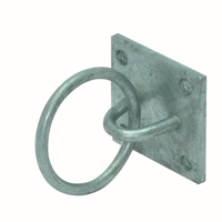 GB aanlegring 65 60X60X5 thermisch verzinkt etiket | 25 stuks - 17274465
