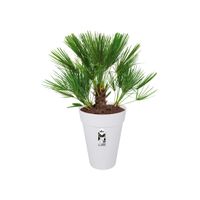 elho loft urban round high 35 Buiten Plantenpot Vrijstaand Polypropyleen (PP) Wit - thumbnail