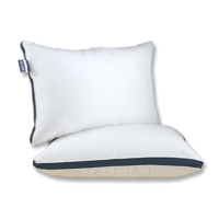 Hotelkussens - 2-PACK - Voor Rug- En Zijslaper - Microvezel - Anti-allergisch & Licht En Onderhoudsvriendelijk - Dekbed-Discounter.nl
