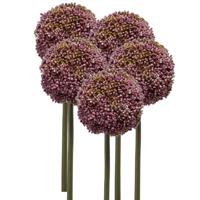 Allium/Sierui kunstbloem - 5x - losse steel - paars - 75 cm - Natuurlijke uitstraling