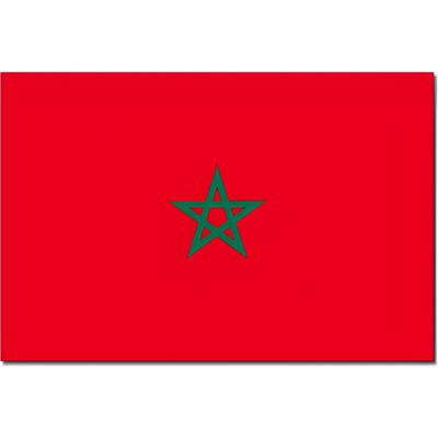 Vlag Marokko 90 x 150 cm feestartikelen