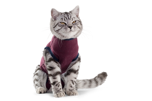 Jacketz Medical Body Suit bordeauxrood kat XXS