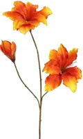 Pure Royal kunsttak amaryllis 88cm oranje
