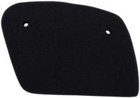 NYPSO Air filter