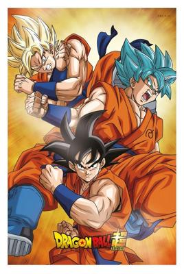 Dragon Ball Super 3D Poster Champa Goku 38 x 58 cm Dragon Ball Super 3D Poster Champa Goku 38 x 58 cm