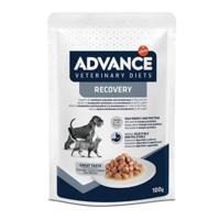 Advance veterinary diet Advance veterinary diet dog / cat recovery - thumbnail