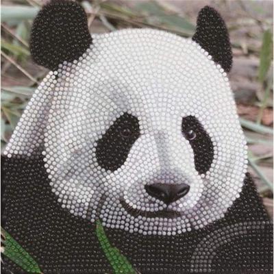 Diamond painting kaart panda